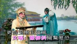 粤剧《观柳还琴》黄伟坤郭凤女经典演绎，柔美唱腔呈现深情故事，精彩不容错过下载
