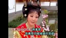 血溅南梁宫·愿亲人长欢寿百年