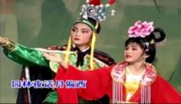 潮剧《嫦娥奔月·听言来痛彻心肌》黄晓佳陈佳佳演唱高清戏曲mp3视频下载