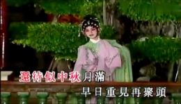 粤剧粤曲小调《明月寄情》梁玉嵘曾小敏演唱，柔美动听经典之作在线下载