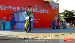 柳琴戏《状元与乞丐》(中)高清mp4视频下载，经典戏曲资源一键获取
