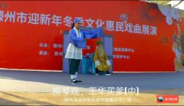 柳琴戏《王华买爹》中集高清mp4下载，经典戏曲资源一键获取
