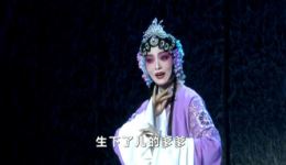 黄梅戏《渔网会母·左牵男右牵女》余淑华演唱，经典选段在线下载，高清戏曲资源免费获取