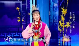 越剧《红楼梦》选段mp3下载 王君安演唱 经典戏曲资源免费获取 越剧《红楼梦》选段mp3下载 王君安演唱 经典戏曲资源免费获取