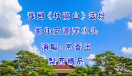 杜鹃山