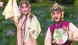 锡剧《牡丹亭·游园》季春艳演唱片段高清下载，经典锡剧名段资源下载