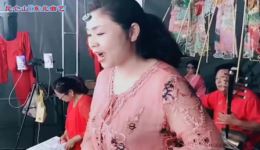 飞燕女侠