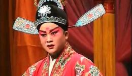 夜审姚达 白罗衫 下