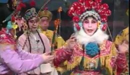 河北梆子《杨七郎招亲下》李二娥金民合演唱，北京河北梆子剧团经典剧目在线下载下载