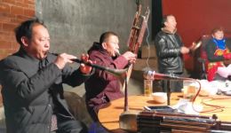 河南民间唢呐《抬花轿》戏曲视频mp4/mp3下载，经典民间唢呐戏资源速取
