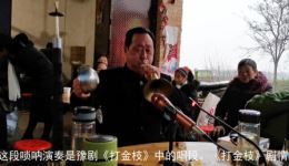 河南戏《打金枝》经典演绎，唢呐老艺人现场演奏，不容错过的戏曲盛宴