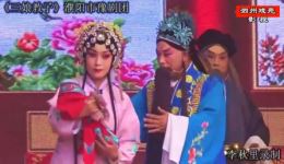 豫剧《三娘教子》全场戏资源下载——濮阳市豫剧团经典演绎 豫剧《三娘教子》全场戏资源下载——濮阳市豫剧团经典演绎