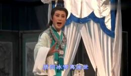红楼梦·问紫鹃