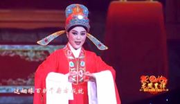 越剧《盘妻索妻·洞房》经典演绎，萧雅倾情演唱，尹派韵味十足，不容错过下载