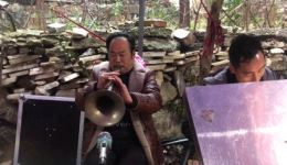 河南民间唢呐越调《收姜维》精彩片段,地道吹奏,超燃听觉体验 河南民间唢呐越调《收姜维》精彩片段,地道吹奏,超燃听觉体验