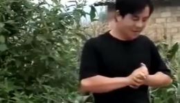 养了两个懒姑娘