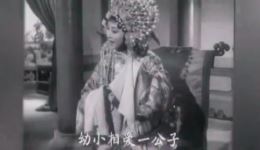 黄梅戏电影《女驸马》严凤英主演高清下载 - 经典戏曲资源下载