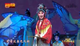 双蝶扇