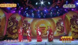 秦腔《丑角荟萃》戏曲视频mp4/mp3下载 - 汇聚名丑经典表演下载