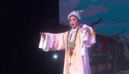 白字戏《神龙彩凤》戏曲视频mp4/mp3资源下载，经典白字戏剧目在线获取