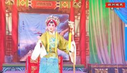 杨宗英下山