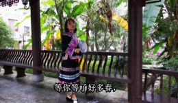 贵州山歌《等你等了好多春》经典对唱戏曲视频mp4/mp3资源下载