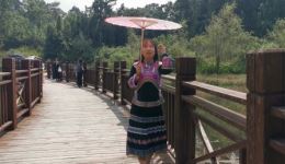 贵州山歌《小妹约哥谈感情》完整版下载，感受真挚男女情谊，速领资源