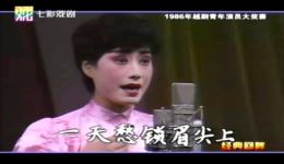 越剧《西厢记·惊艳》郑国凤演唱名段mp4/mp3下载，经典戏曲资源速取下载
