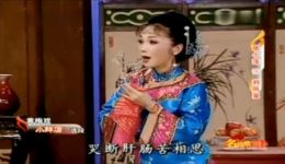 黄梅戏《小辞店》选段张小萍演唱，高清戏曲视频mp4/mp3资源下载下载