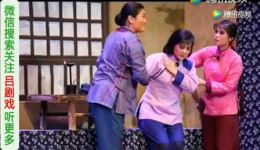 吕剧《热土》全剧视频mp4/mp3下载 全场戏曲资源 在线观看与离线保存下载