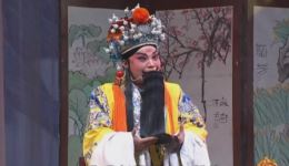 大刀王怀女