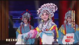 宛梆《打金枝》选段高清戏曲视频mp4/mp3下载，经典宛梆剧目资源