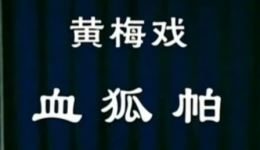 黄梅戏《血狐帕》韩再芬全场视频MP4/MP3下载，经典戏曲资源下载