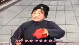 河南坠子《王婆骂鸡》经典戏曲资源下载，特色地方戏在线观看