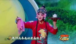 黄梅戏《送香茶》选段赏析 程丞精彩演绎 人美戏美 经典必听下载