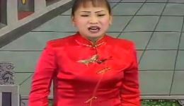 河南坠子《目无王法》胡中花演唱，坠子皇后经典演绎，传统曲艺在线畅听下载