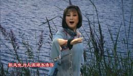 洪湖赤卫队