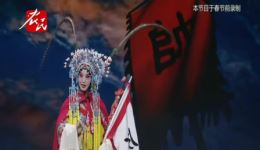 豫剧《穆桂英挂帅》李潞潞主演高清mp4视频mp3下载 - 经典戏曲资源下载