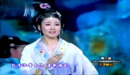黄梅戏《孔雀东南飞》选段下载 - 韩再芬唯美演唱经典戏曲资源下载