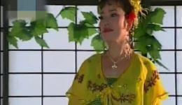 二人转《回杯记》韩子平董玮名段mp4/mp3下载 - 经典戏曲资源下载