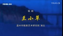 兰小草