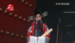 河北梆子《潘杨讼》白林芳主演，高清戏曲视频mp4/mp3资源下载，经典忠义大戏下载