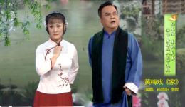 黄梅戏《家》选段视频下载 孙路阳李妮表演 戏曲mp4/mp3资源下载