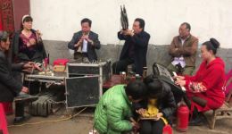 河南唢呐演奏豫剧《小二黑结婚》，电子琴笙伴奏，正版戏曲资源下载