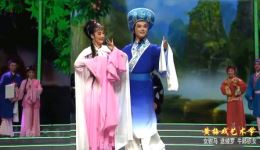 安庆再芬黄梅戏《女驸马》《送绫罗》《牛郎织女》高清正版戏曲资源下载下载