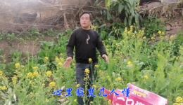 贵州山歌《爹娘养女一场空》贵裕演唱，mp4/mp3资源免费下载，高清音质畅听