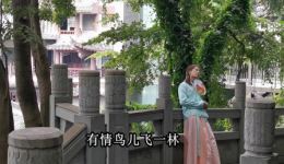 贵州山歌《酸甜苦辣笑哈哈》戏曲视频mp4/mp3资源下载，正版高清戏曲在线获取