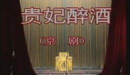 1993京剧《贵妃醉酒》全场视频mp4/mp3下载 李开屏康健石晓亮主演下载
