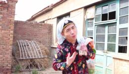 沧州口音民间小调《钱是娘》戏曲视频mp4/mp3下载 - 经典民间戏曲资源