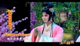 昆曲《镜花水月红楼梦》mp3/mp4下载 - 经典戏曲资源高清收录 昆曲《镜花水月红楼梦》mp3/mp4下载 - 经典戏曲资源高清收录
